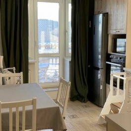 Продажа 2-комн квартиры на вторичном рынке Парголово п, Михаила Дудина ул,  д. 23,  к. 1