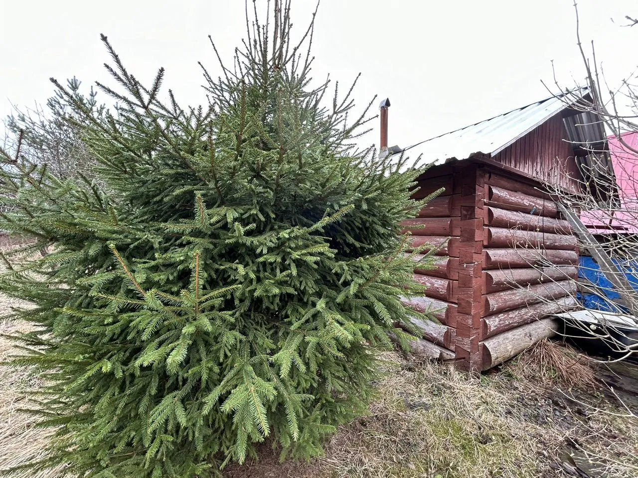 Продажа дома пос. Лейпясуо, Курортное СНТ, 6-я линия