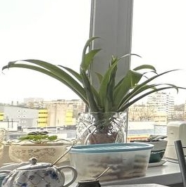 Продажа 1-комн квартиры на вторичном рынке проспект Ветеранов, 78