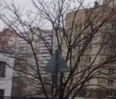 Сдать в аренду Квартиры вторичка пос. Шушары, Школьная улица, 6к2   