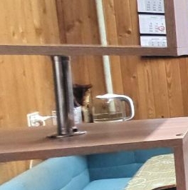 Продажа 3-комн квартиры на вторичном рынке Кировск, Молодежная улица, 3