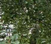 Продать Квартиры вторичка улица Кадырова, 8   