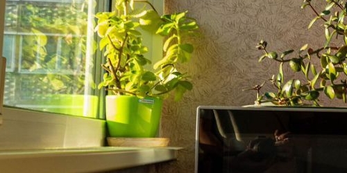 3-комн квартира Лужская улица, 4К1