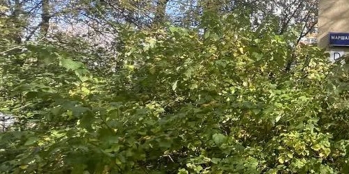 3-комн квартира улица Маршала Тимошенко, 36