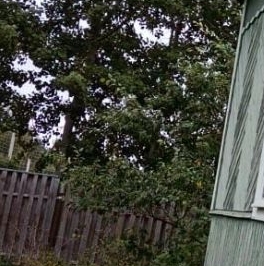 Продажа дома Восход садоводческий массив, 6-я линия, д. 52 Продажа дома Восход садоводческий массив, 6-я линия, д. 52