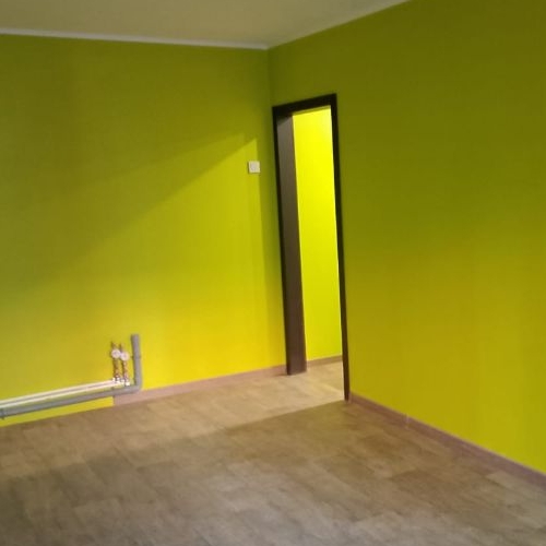 Студия пос. Шушары, Московское шоссе, 262к1