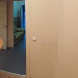 Аренда офиса 1-я линия В.О., д. 50 Аренда офиса 1-я линия В.О., д. 50