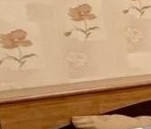 Сдать в аренду Квартиры вторичка Химки, Юбилейный проспект, 88   