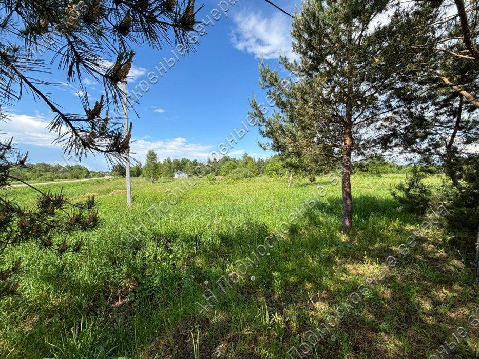 Продажа земли Дьяково деревня,