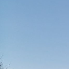 Аренда 2-комн квартиры на вторичном рынке Авиационный мкр, улица Королева, 7к2 Аренда 2-комн квартиры на вторичном рынке Авиационный мкр, улица Королева, 7к2