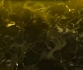 Продать Квартиры вторичка Парашютная улица, 56к2   