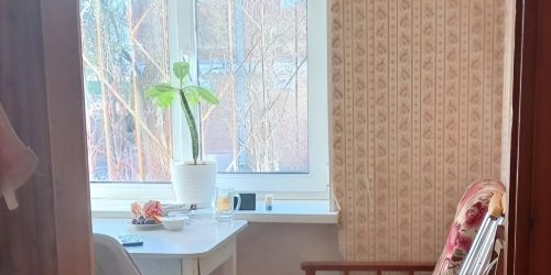 1-комн квартира Пушкин, Прямой переулок, 3