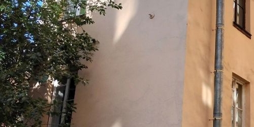 4-комн квартира улица Рубинштейна, 15-17