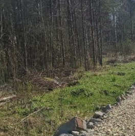 Продажа земли Дружная Горка городской поселок, улица Пограничная Продажа земли Дружная Горка городской поселок, улица Пограничная