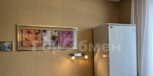 3-комн квартира Элеваторная улица,  д. 10