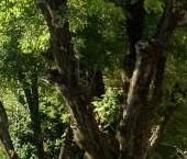 Продать Квартиры вторичка Луга, улица Победы, 3   