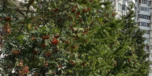 3-комн квартира Новочеремушкинская улица, 23К1