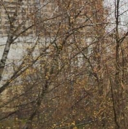 Аренда 2-комн квартиры на вторичном рынке Зеленодольская улица, 32К3 Аренда 2-комн квартиры на вторичном рынке Зеленодольская улица, 32К3