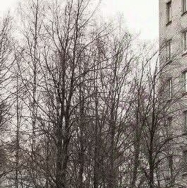 Продажа 3-комн квартиры на вторичном рынке улица Верности, 30 Продажа 3-комн квартиры на вторичном рынке улица Верности, 30