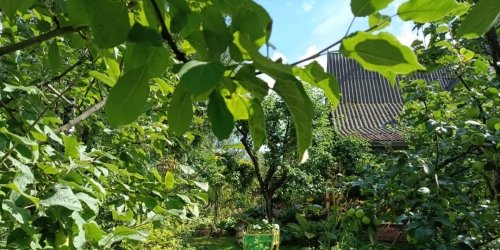 3-комн квартира Пушкин г., Колпинское шос.,  д. 109