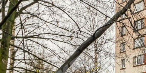 2-комн квартира улица Орбели, 27К3