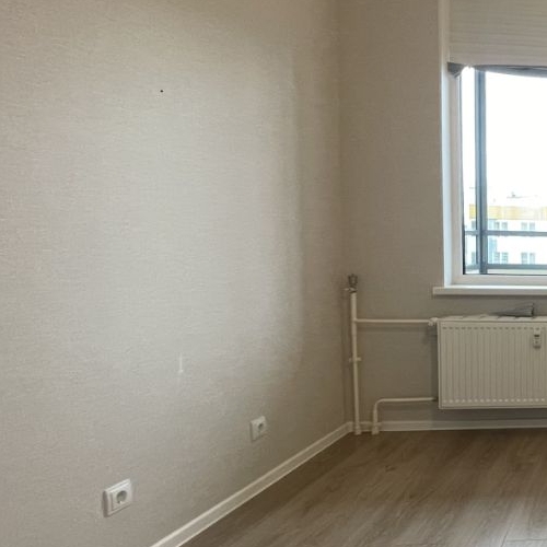 Студия пос. Янино-1, улица Ясная, 17к2