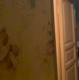 Аренда комнаты 5-я Советская улица, 24/13 Аренда комнаты 5-я Советская улица, 24/13