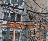 Продать Квартиры вторичка 3-й мкр, Звенигород, 4   