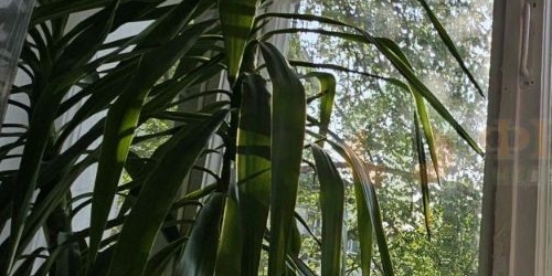 2-комн квартира улица Пилотов, 18К4