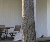 Продать Дачи, коттеджи, загородные дома пос. Песочный, Рабочая улица, 8   