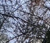 Продать Квартиры вторичка проспект Художников, 24К1   