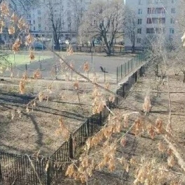 Продажа 2-комн квартиры на вторичном рынке ул Примакова,  д. 8