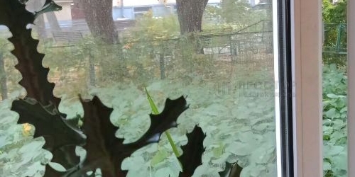 1-комн квартира Красноармейская улица, 8К2