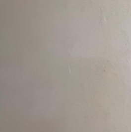 Аренда студии Кудрово г., улица Пражская, 9 Аренда студии Кудрово г., улица Пражская, 9