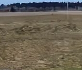 Продать Дачи, коттеджи, загородные дома д. Кипень, шоссе Ропшинское, 65   