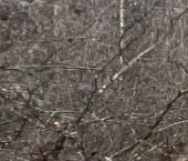 Продать Дачи, коттеджи, загородные дома Пупышево садоводческий массив, Сокол СНТ, 9-я линия   