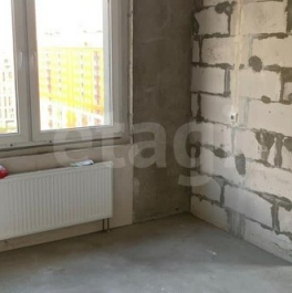 Продажа 1-комн квартиры на вторичном рынке Митрофаньевский тупик,  д. 9а