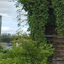 Продажа дома д. Устеево, 18