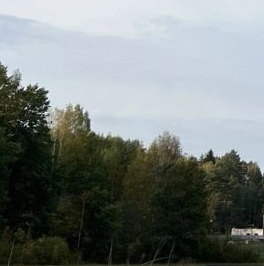 Продажа земли Лесное озеро кп,  д. 2