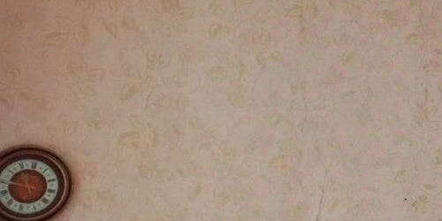 2-комн квартира улица Академика Павлова, 9К1