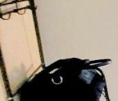 Продать Квартиры вторичка Литейный проспект, 51   