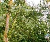 Продать Дачи, коттеджи, загородные дома Природа садовые участки  112 