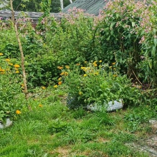 1-комн квартира Вырица городской поселок, улица Румянцева, 6