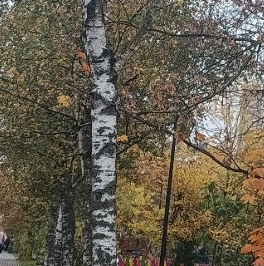 Продажа 4-комн квартиры на вторичном рынке Мытищи, Новомытищинский проспект, 45к1 Продажа 4-комн квартиры на вторичном рынке Мытищи, Новомытищинский проспект, 45к1