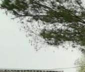 Продать Квартиры вторичка д. Чернево, 44   