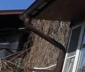 Продать Дачи, коттеджи, загородные дома д. Владимировка, улица Свободы, 5   