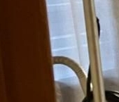 Сдать в аренду Квартиры вторичка Кастанаевская улица, 63К2   