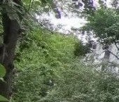 Продать Квартиры вторичка Дзержинец мкр, Пушкино, 23   