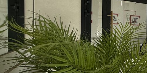 2-комн квартира проспект Обуховской обороны, 36