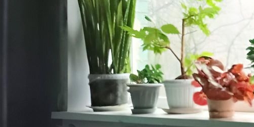 1-комн квартира Болотная улица, 17